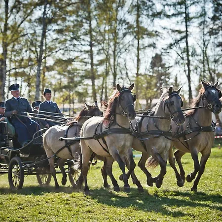 Trolla Holiday home *